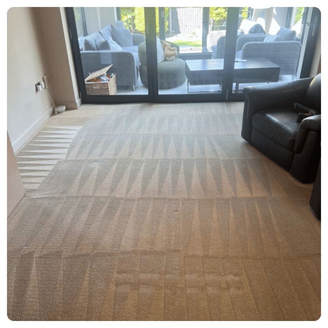 Professional carpet cleaning