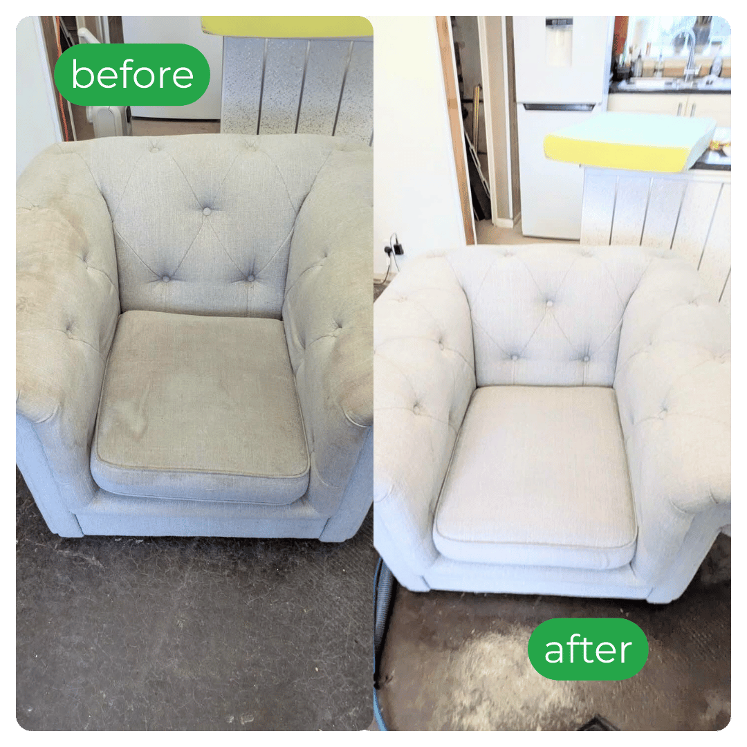 Professional sofa cleaning