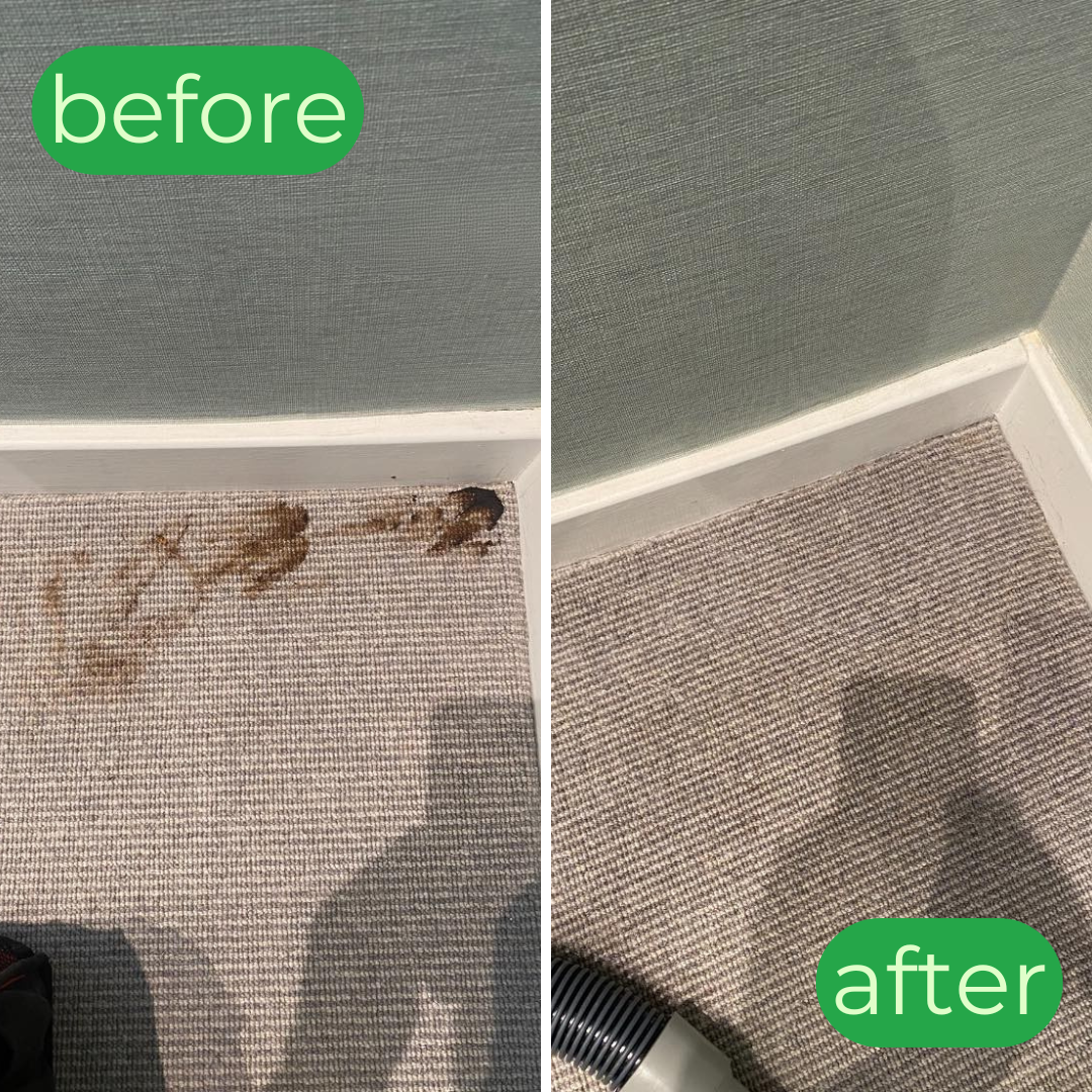 Cleaning work