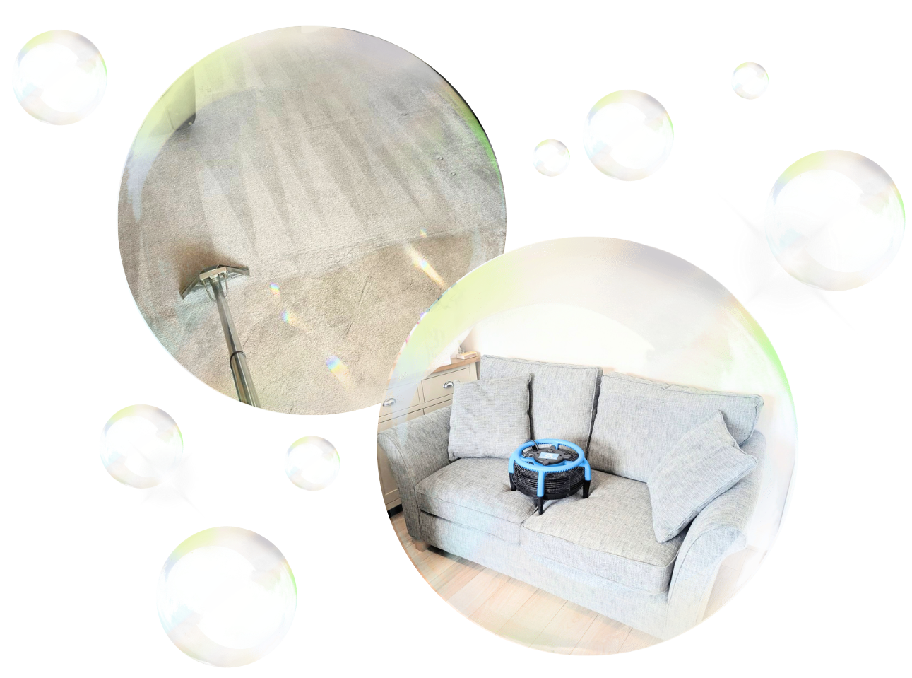 Professional carpet cleaning