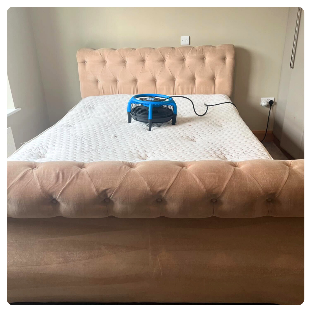 Professional mattress cleaning
