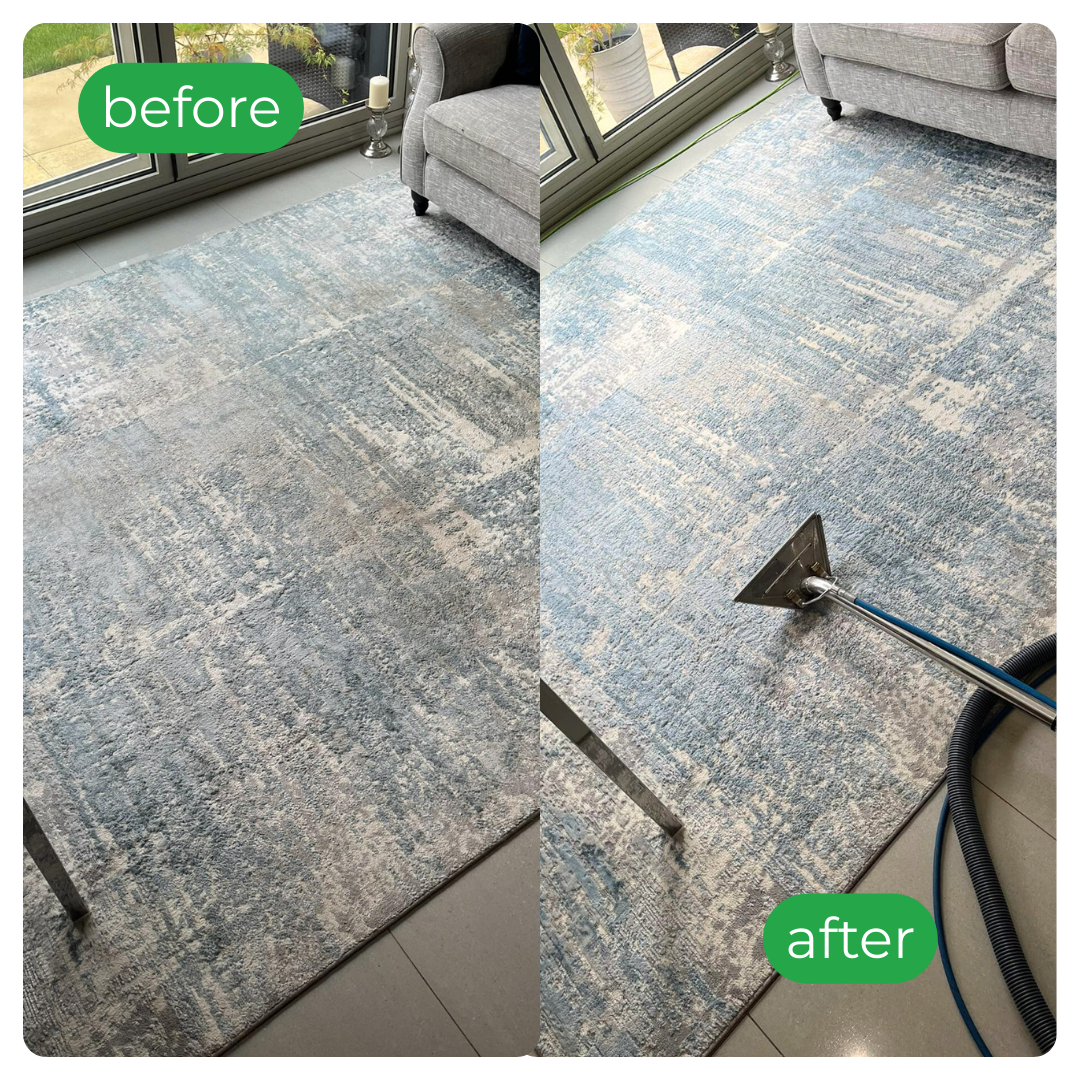 Professional Rug cleaning Servics